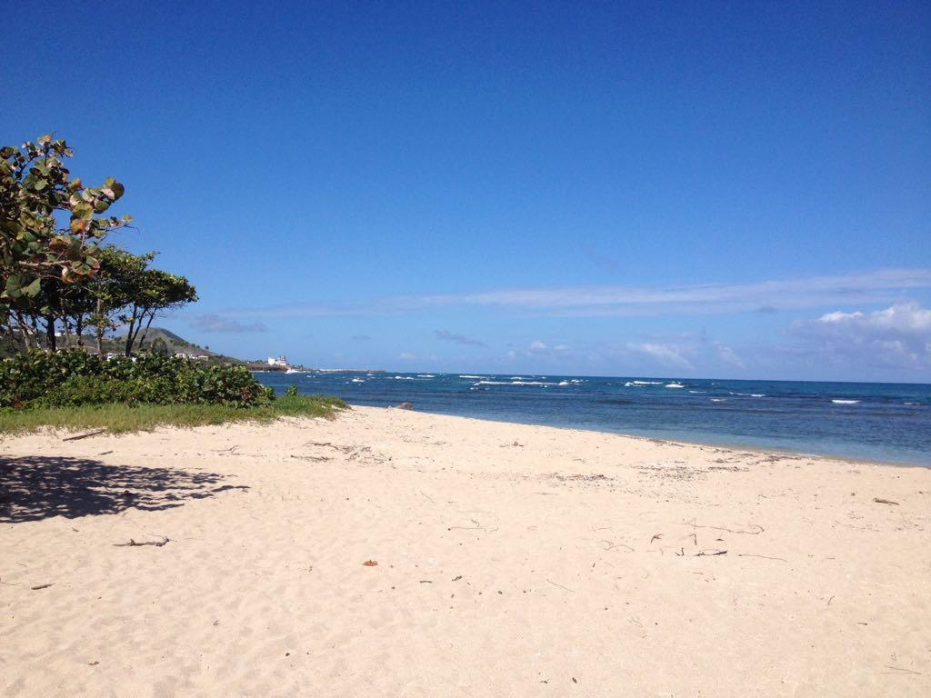 Mar Azul 401 Apartment Puerto Plata Ngoại thất bức ảnh